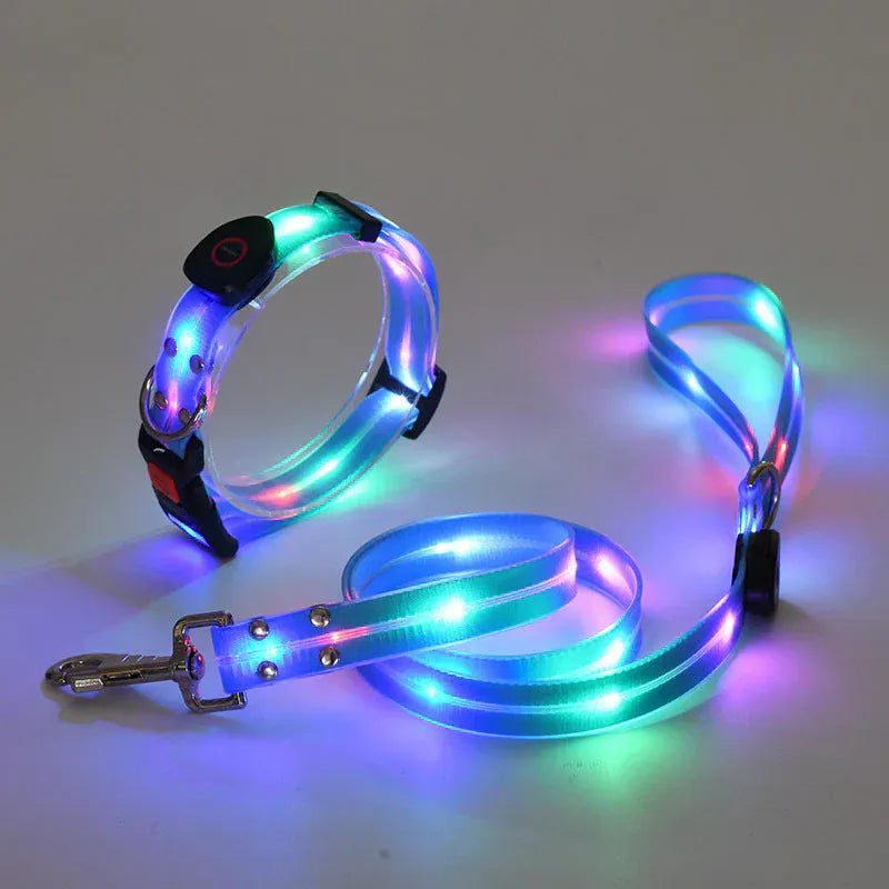 Collier Laisse LED Rechargeable Chien Nuit