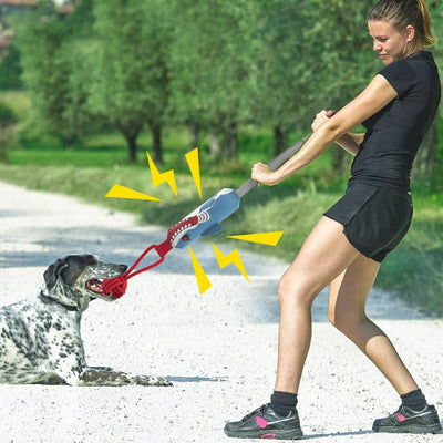 https://cdn.shopify.com/s/files/1/0489/2898/1148/files/O1CN01BMhUKZ208Hb1k2T2j__3475656804-0-cib.jpg?v=1744538418