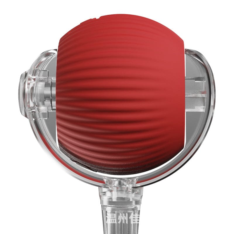 https://cdn.shopify.com/s/files/1/0489/2898/1148/files/spielballhund_7ff8ef1e-02cf-4008-880a-23a8928d97d7.png?v=1744538045