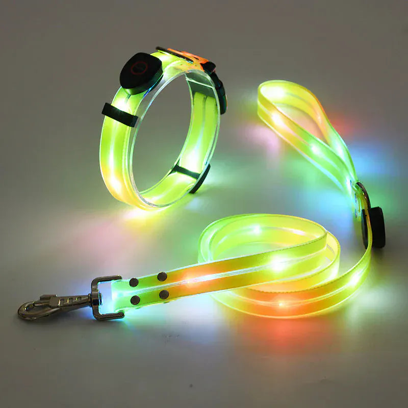 Collier Laisse LED Rechargeable Chien Nuit
