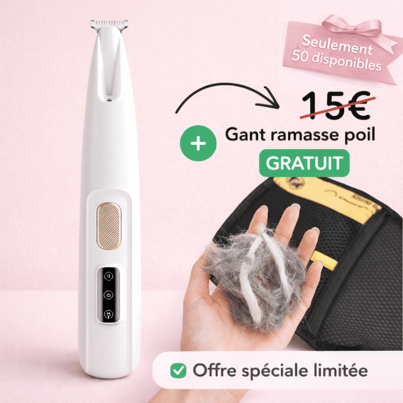 https://cdn.shopify.com/s/files/1/0489/2898/1148/files/Offretondeuse.png?v=1776505283