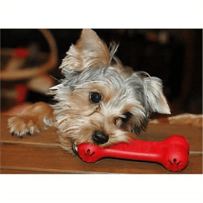 https://cdn.shopify.com/s/files/1/0763/9767/4819/files/Os_jouet_pour_chien_caniche.png?v=1729269676