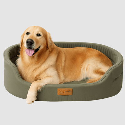 https://cdn.shopify.com/s/files/1/0763/9767/4819/files/Panier_Chien_XXL_vert.png?v=1757082717