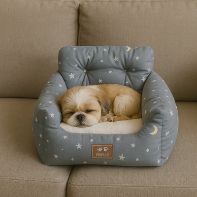 https://cdn.shopify.com/s/files/1/0763/9767/4819/files/Panier_canape_pour_chien_etoile_avec_chien_dedans.png?v=1747919360