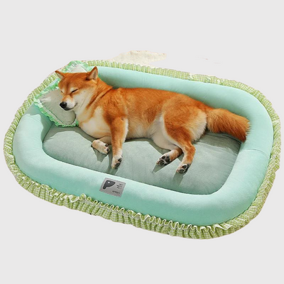 https://cdn.shopify.com/s/files/1/0763/9767/4819/files/Panier_orthop_dique_pour_chien_vert.png?v=1747922803