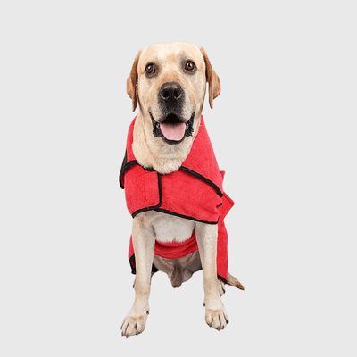 https://cdn.shopify.com/s/files/1/0763/9767/4819/files/Peignoir_de_bain_chien_labrador.png?v=1756309907