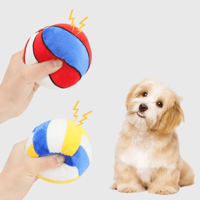 https://cdn.shopify.com/s/files/1/0763/9767/4819/files/Peluche_ballon_pour_chien_pouet_pouet.png?v=1746201097