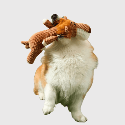 https://cdn.shopify.com/s/files/1/0763/9767/4819/files/Peluche_colore_pour_chien_chiot.png?v=1746197356