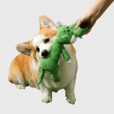 https://cdn.shopify.com/s/files/1/0763/9767/4819/files/Peluche_colore_pour_chien_jeux.png?v=1746197356