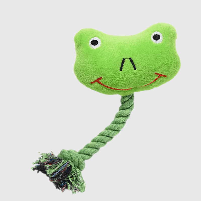 https://cdn.shopify.com/s/files/1/0763/9767/4819/files/Peluche_grenouille_pour_chien_destructeur.png?v=1700155402