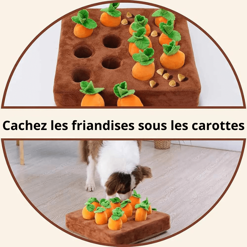 https://cdn.shopify.com/s/files/1/0763/9767/4819/files/Peluche_interactive_carotte_pour_chien_modele.png?v=1700220459