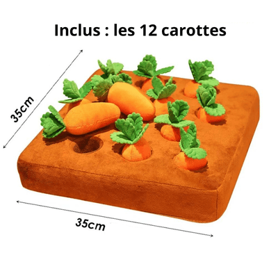 https://cdn.shopify.com/s/files/1/0763/9767/4819/files/Peluche_interactive_carotte_pour_chien_malinois.png?v=1700220458