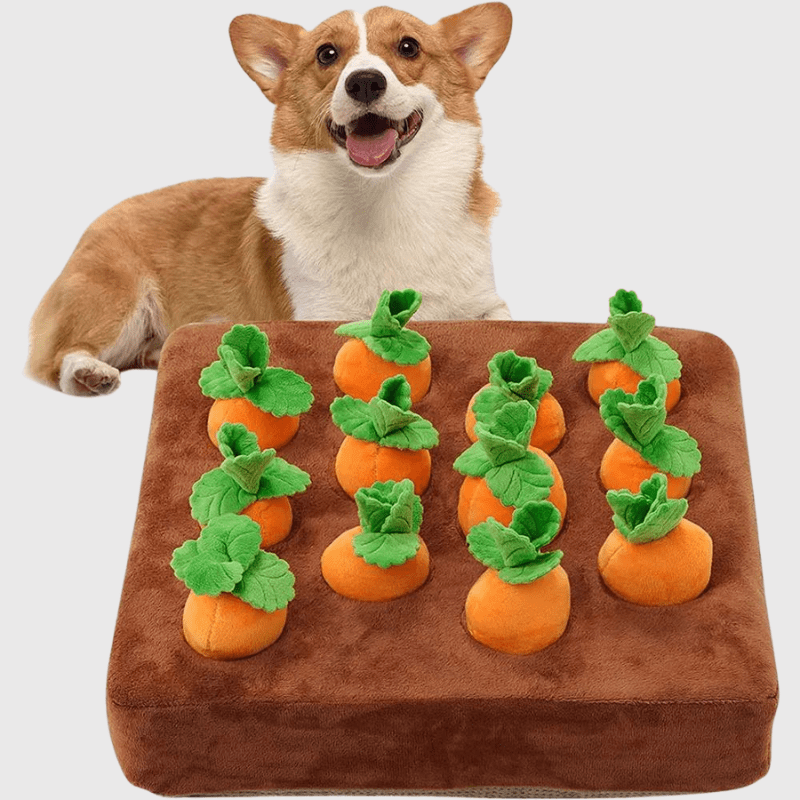 https://cdn.shopify.com/s/files/1/0763/9767/4819/files/Peluche_interactive_carotte_pour_chien_modele.png?v=1700220459