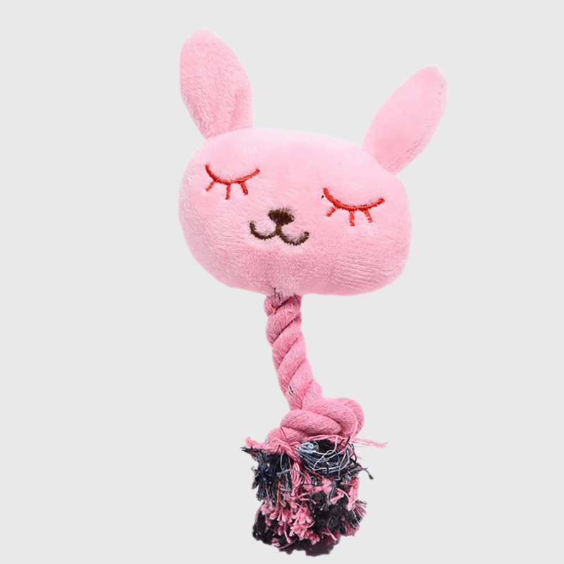 https://cdn.shopify.com/s/files/1/0763/9767/4819/files/Peluche_lapin_pour_chien_destructeur.png?v=1700155772