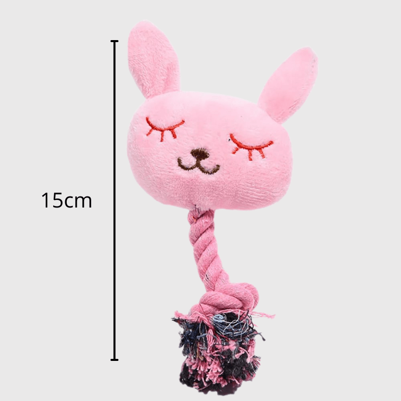 https://cdn.shopify.com/s/files/1/0763/9767/4819/files/Peluche_lapin_pour_chien_destructeur.png?v=1700155772