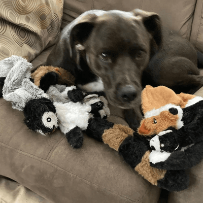 https://cdn.shopify.com/s/files/1/0763/9767/4819/files/Peluche_pour_chien_anti-stress_cjiot.png?v=1746195434