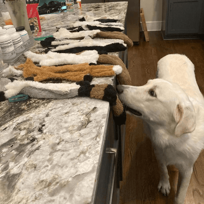 https://cdn.shopify.com/s/files/1/0763/9767/4819/files/Peluche_pour_chien_anti-stress_labrador.png?v=1746195434