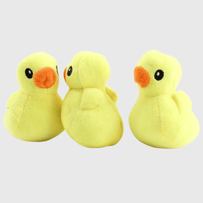 https://cdn.shopify.com/s/files/1/0763/9767/4819/files/Peluche_poussin_pour_chien_labrador.png?v=1700154120