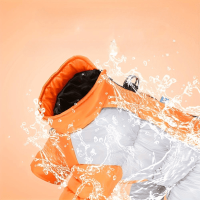 https://cdn.shopify.com/s/files/1/0489/2898/1148/files/Pet_coat_2.png?v=1755848099