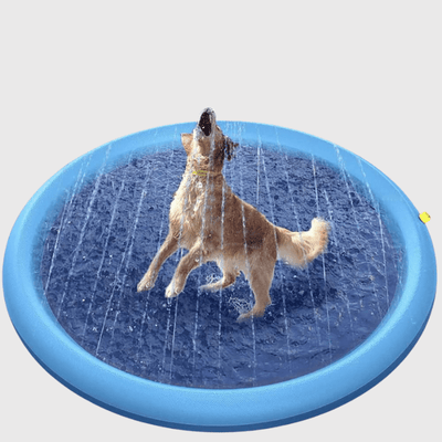 https://cdn.shopify.com/s/files/1/0763/9767/4819/files/Piscine_pliable_pour_chien_labrador.png?v=1753452844