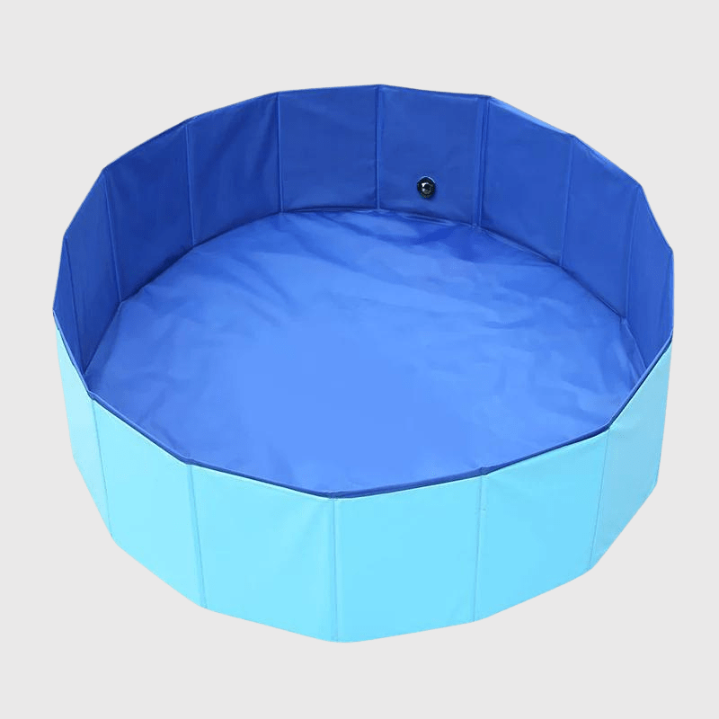 https://cdn.shopify.com/s/files/1/0763/9767/4819/files/Piscine_pour_chien_en_plastique_dur_bleu-avec-sa-famille-autour.png?v=1744043207