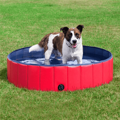 https://cdn.shopify.com/s/files/1/0763/9767/4819/files/Piscine_pour_chien_en_plastique_dur_bleu_chiots.png?v=1744043207