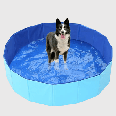 https://cdn.shopify.com/s/files/1/0763/9767/4819/files/Piscine_pour_chien_xxl.png?v=1754056797