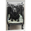 Poussette pour chien grande taille