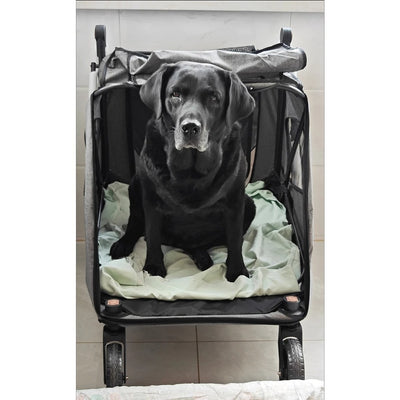 Poussette pour chien grande taille