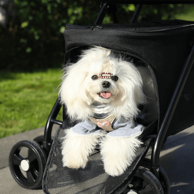 https://cdn.shopify.com/s/files/1/0763/9767/4819/files/Poussette_pour_chien_pliable_chiuhuahua.png?v=1753812640