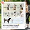 Poussette pour petit chien