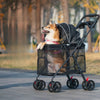 Poussette respirante pour chien
