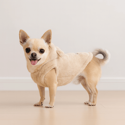 https://cdn.shopify.com/s/files/1/0763/9767/4819/files/Pull_Chihuahua_exemple.png?v=1764947886