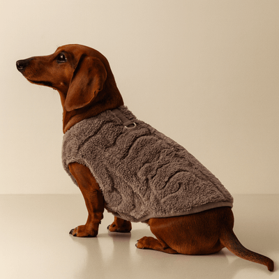 https://cdn.shopify.com/s/files/1/0763/9767/4819/files/Pull_Pour_Teckel_gris.png?v=1767721726
