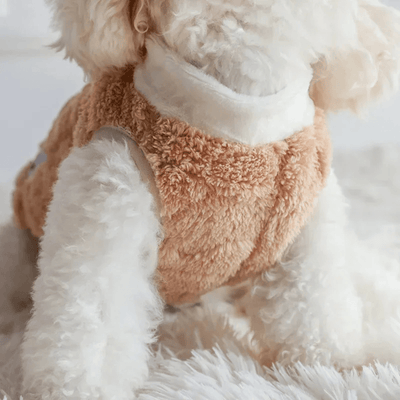 https://cdn.shopify.com/s/files/1/0763/9767/4819/files/Pull_Pour_Teckel_sur_chien.png?v=1767721726