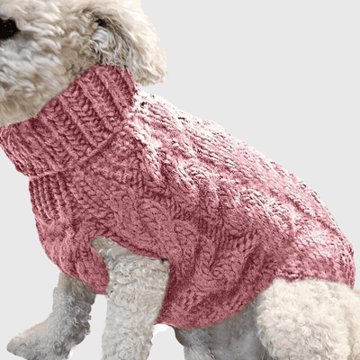 https://cdn.shopify.com/s/files/1/0763/9767/4819/files/Pull_chaussette_pour_petit_chien_caniche.png?v=1767796653