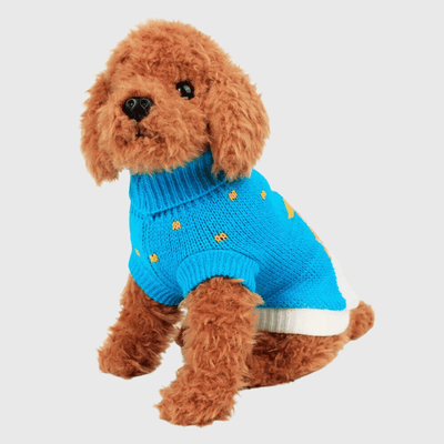 https://cdn.shopify.com/s/files/1/0763/9767/4819/files/Pull_de_Noel_pour_chien_caniche.png?v=1756914359