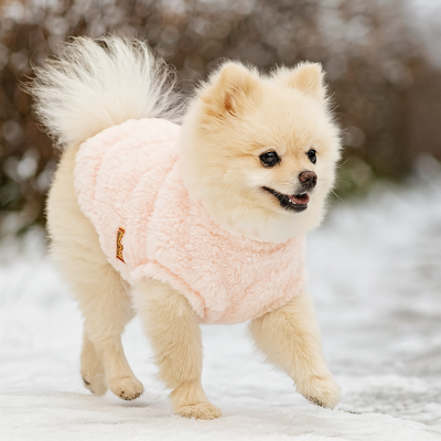 https://cdn.shopify.com/s/files/1/0763/9767/4819/files/Pull_en_laine_pour_chien.png?v=1753287411