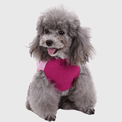 https://cdn.shopify.com/s/files/1/0763/9767/4819/files/Pull_pour_chien_Rose_avec_Coeur_devant.png?v=1699978221