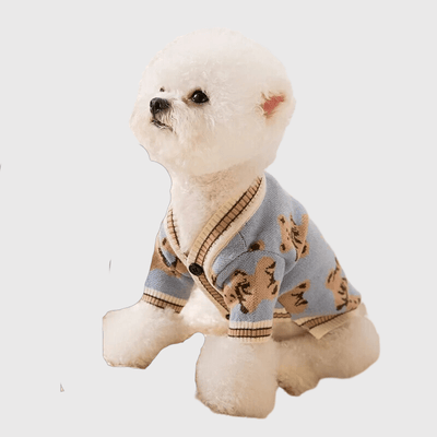 https://cdn.shopify.com/s/files/1/0763/9767/4819/files/Pull_pour_chien_design_ours_bleu.png?v=1697731781