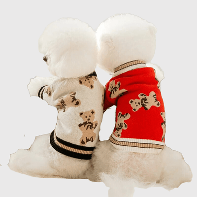 https://cdn.shopify.com/s/files/1/0763/9767/4819/files/Pull_pour_chien_design_ours_doublon.png?v=1697731781