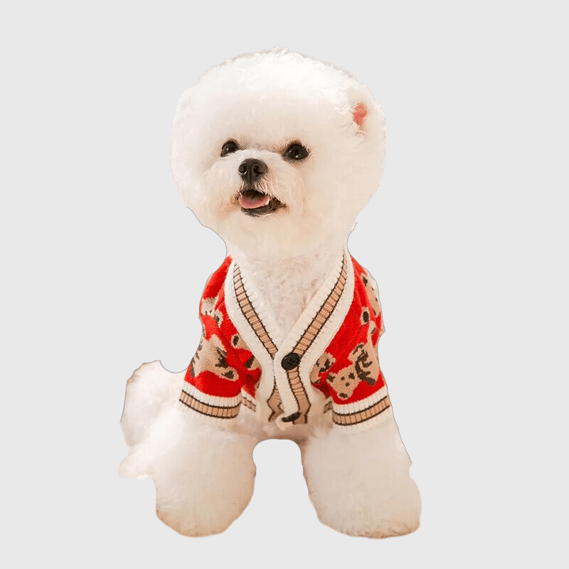 https://cdn.shopify.com/s/files/1/0763/9767/4819/files/Pull_pour_chien_design_ours_modele_caniche.png?v=1697644085