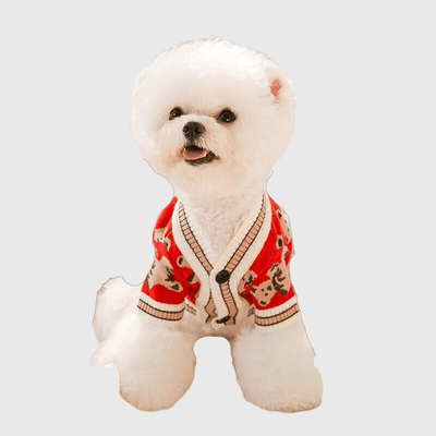 https://cdn.shopify.com/s/files/1/0763/9767/4819/files/Pull_pour_chien_design_ours_modele_caniche.png?v=1697644085