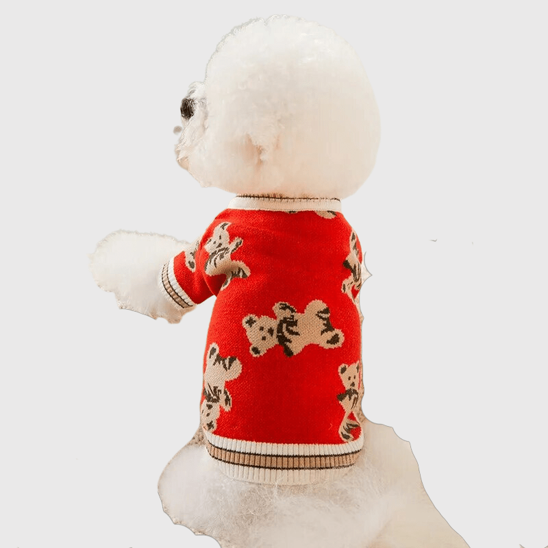https://cdn.shopify.com/s/files/1/0763/9767/4819/files/Pull_pour_chien_design_ours_modele_caniche.png?v=1697644085