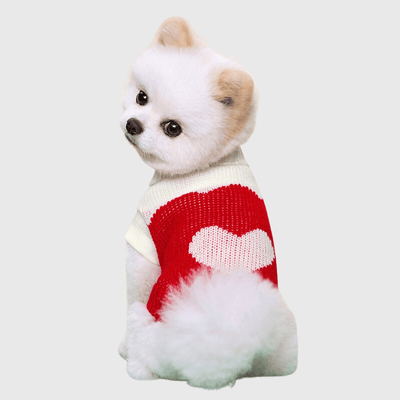 https://cdn.shopify.com/s/files/1/0763/9767/4819/files/Pull_pour_chien_polaire_rouge_coeur_rose.png?v=1692366495