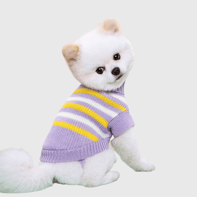 https://cdn.shopify.com/s/files/1/0763/9767/4819/files/Pull_pour_chien_polaire_violet_avec_traits_jaune.png?v=1701367720