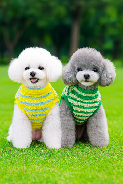 https://cdn.shopify.com/s/files/1/0763/9767/4819/files/Pull_pour_grand_chien_dehors.png?v=1756915232