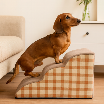 https://cdn.shopify.com/s/files/1/0763/9767/4819/files/Rampe_escalier_pour_chien.png?v=1755793562