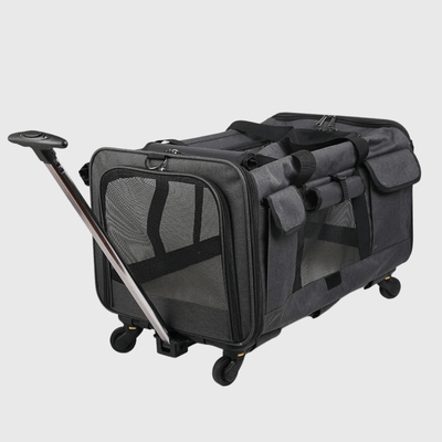 https://cdn.shopify.com/s/files/1/0763/9767/4819/files/Remorque_poussette_pour_chien_noire.png?v=1753881392