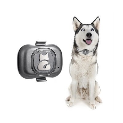 Traceur GPS 4G Chien Étanche à Clipser sur Collier